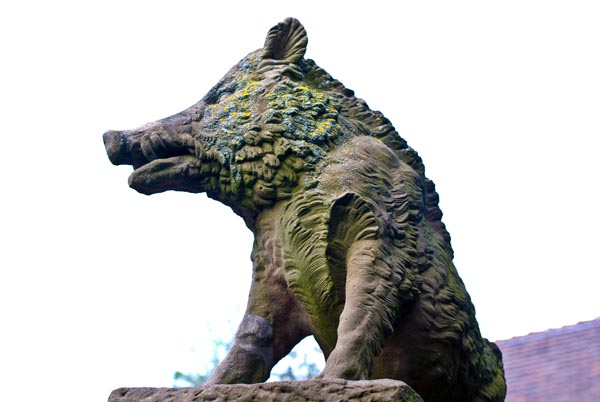 image-01.jpg