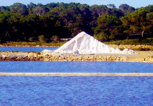 image-01.jpg