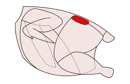 image-01.jpg